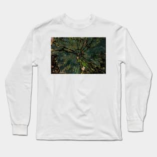 In the middle of the tree Long Sleeve T-Shirt